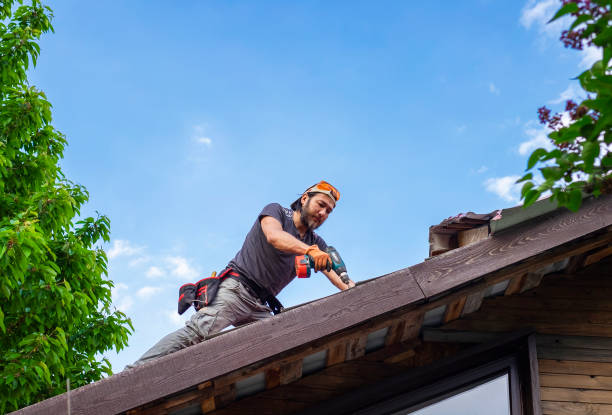 Best Storm Damage Roof Repair  in New Cumberland, PA